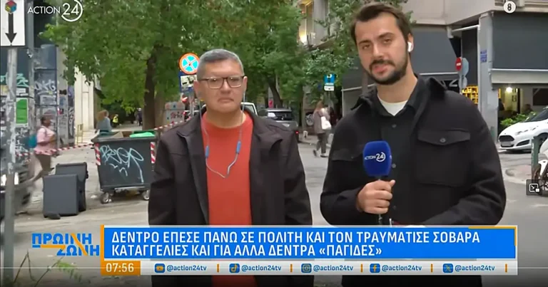 Δέντρα βόμβες